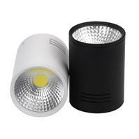 Hot Sale High Power surface mounted 10W  15W 20W COB led ceiling lamp recessed down light lamp downlights AC85~265V