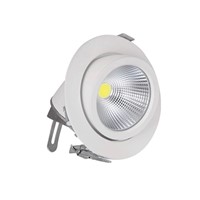 Free shipping 1pcs  30W LED Spotlight of trunk COB lamp,AC85~265V,White Body