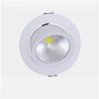 Free shipping 10pcs  30W LED Spotlight of trunk COB lamp,AC85~265V,White Body