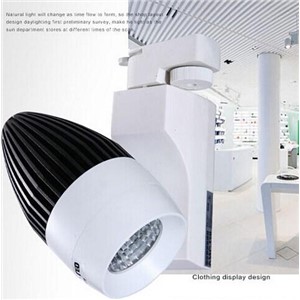 10pcs/lot Free Shipping COB 20W Led Track Light,CE &amp; ROHS,2 year warranty,COB 20W led Wall lamp AC85-265V