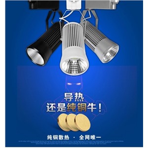 Led Track Light Lamparas 20w Lampada  Lamp Led Track Light 110-265v  2years Warranty Track Lamp