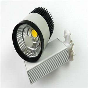 Free Shipping 30W Led Track light Lamp 85-265V Warm/Cold White Black+White Shell for lighting art gallery exhibition lights