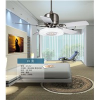 Modern living room bedroom fan ceiling light remote control mute fan light restaurant fan lights ceiling Fan frequency converter