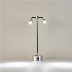 Wire free chargable 2W/6W 2heads rotable cabinet led spot lamp , removal jewelry display  light for wedding  ,show,exhibition