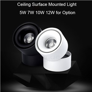 Free shipping 7W 10W 12W surface mounted ceiling spotlight 110-240V rail spotlight warm white for clothes shoes shop lighting