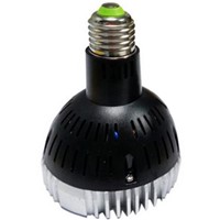 lampholy E27 PAR30 30W LED Light Black