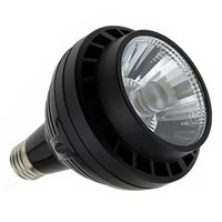 lampholy E27 35W PAR30 LED Light Black
