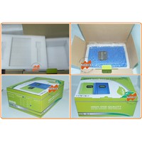 12V 24V 48V 96V Auto Sensing 20A MPPT Solar Controller with RS232 communication port , Green &amp;amp;amp; Blue Color for Option