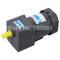 60W Strengthen type Micro AC induction gear motor  90mm AC gear reduction 220/230v
