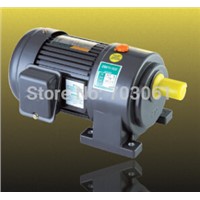 100W shaft diameter 22mm small AC gear motors single-phase electric motor with 2# gearbox ratio 60~100
