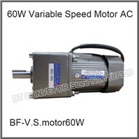 60W Variable Speed Motor AC 220C Gear Reducer Motor Assembly Line Conveyor Motor Gear Motor Ratio 1:50