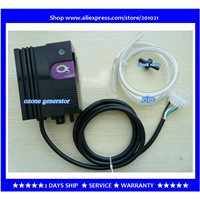 Ozone generator accessories SPA bath pool water disinfection  AC220V,50~60Hz  10W 300mg / hr  Output