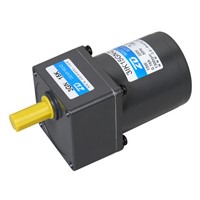 an induction motor 15W AC motor 220V single phase AC gear motors  with ratio 100:1 gearbox gear head 70mm size flange