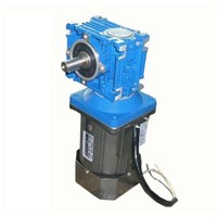 AC 220V  140W with RV 40 worm gearbox ,High-torque regulated speed worm Gear motor,Drive motor,Rolling Shutters motor