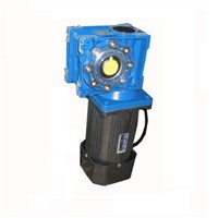 AC 220V 90W with RV30 worm gearbox ,High-torque Regulated speed  worm Gear motor,Drive motor,Rolling Shutters motor