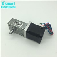 Bringsmart A58SW-42BY 12Volt DC Stepping Motor  High Torque Synchronizable Self-locking Geared Motor  Reduction Motor