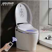 2017 One Piece Filli Real Bathroom Banheiro Is One Of Hot Water Tank Dan For Intelligent With A Multifunctional Toilet Sea