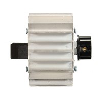 WSFS Hot 5000W 220V AC SCR Motor Speed Controller