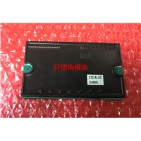 EIC4142 module