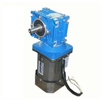 AC 220V 90W with RV30 worm gearbox ,High-torque Constant speed worm Gear motor,Drive motor,Rolling Shutters motor