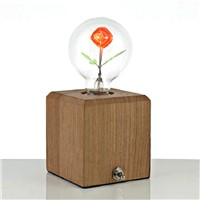 E27 3W 220V Vintage Edison Light Bulb Rose Lighting Decorative Incandescent Retro Filament Lamp Bulb for Home Decor Gift