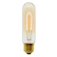 E27 Incandescent Vintage Bulb 40W 220V T10 Retro Edison Light Bulb Wholesale Price