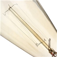 LightInBox Fixtures Glass LED Edison Bulb 40W 110V/220V Pendant Lamps ST48 Vintage Retro E14 Incandescent Light Lamp Bulb