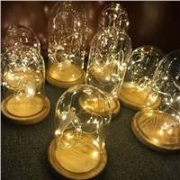 10pcs/lot  1M 10LEDS 2M 20LEDs Led String Lights Battery Powered Silver Wire Waterproof  For Decoration Holiday Party Wedding