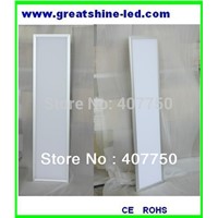 300x1200mm ultra thin SMD4014/2835 led panel light 48w  side lit led downlight 2pcs/Lot used for government offices