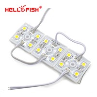 Hello Fish 100pcs  DC12V  5050 4 LED Modules White/Warm White IP65 Waterproof  for LED Signs Advertisements