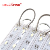Hello Fish 100pcs DC12V 5630 3 LED Modules  White / Warm White  IP65 Waterproof