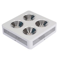 400W Cob Led Grow Light Full Sepctrum Grow Leds for sale Plant Stands Indoor Growth Horticulture plant lamp indoor plant lamp