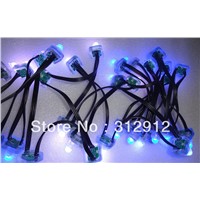DC5V 50nodes TLS3001 pixel light;IP68 rated;4096 gray scale;red-green-blue wire;epoxy resin filled