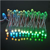 LED Lighting Modules 12mm led lumineuse luces DC5V full color 50pcs WS2801 pixel string waterproof rgb led module