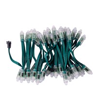 50 pcs 12mm WS2801 2801 IC Led pixel Module,Green Wire Cable,Full color RGB Digital Addressable, IP68 waterproof,DC5v input