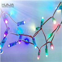 50pcs/string Dc5V WS2811 Led Pixel Module IP68 Waterproof Full Color RGB 2811ic String Christmas Led Light