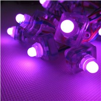 5v ws2801 IC 12mm square shape led pixel module led string,waterproof full color rgb ,50pcs ws2801 ic control control 50 pixels