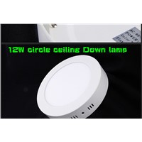 HOT!Ultra thin circle ceiling Down lamp 12w Surface mounted led downlight Round panel light smd kitchen Bathroom lamp