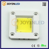 2016 hot sale Warm white AC110V driverless cob led module 20w 30w