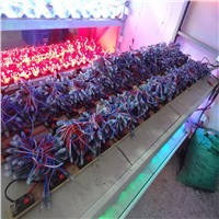 1000pcs/lot led rgb module ws2811 christmas lights12mm IP68 waterproof DC12V full color string light Black Wire Cable