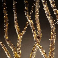 1*2M 160LED Vines wire string light used for landscape decoration, Christmas, garden, around the tree lights+12V1A adapter