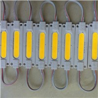 20pcs 2W Injection led COB module Light Advertising lamp Waterproof DC12V led background light warm white/red/blue/Green/Yellow