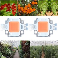 10pcs 10w Cob Grow Led Chip BridgeLux 45milFull Spectrum 400nm~840nm Led Ligh Emitting Diode Bulb For Plant Grow Fast And Better