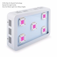 1,000W LED Grow Light with COB (Chip On Board) Technology, Red/Blue 8:1