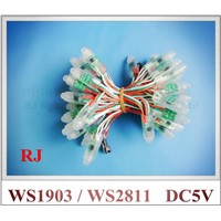 ( WS 2811 compatible ) UCS 1903 LED pixel light module IP66 0.3W DC5V used for PMMA sign letters blister words display screen