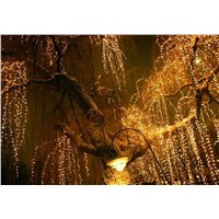 iTimo 100 LED 10M Outdoor Lighting String Fairy Lights Lamps Christmas Wedding Decoration US Plug Home Decoration Party Supplies