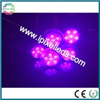 Shenzhen Factory Wholesale 38mm LED Pixel Light Full Color DC24V