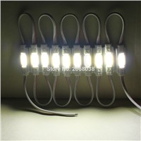 100Pcs/lot Injection COB LED module White/Warm White/Red/Green/Blue DC12V Waterproof IP67 led modules lighting Advertising lamp