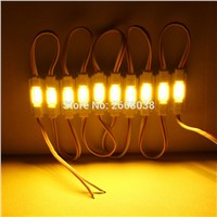 20Pcs/lot COB Chip Injection LED Module lamp Waterproof IP67 DC12V indoor outdoor advertising module Logo letter lightbox source