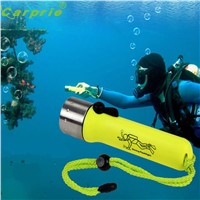 Super Underwater 1200LM CREE XM-L XPE LED Diving Flashlight Torch Lamp Light Waterproof 170118